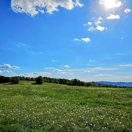 Old Forge Modern Retreat *