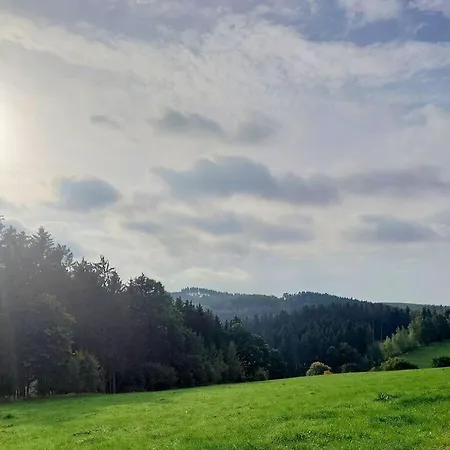 Hébergement de vacances Old Forge Modern Retreat *