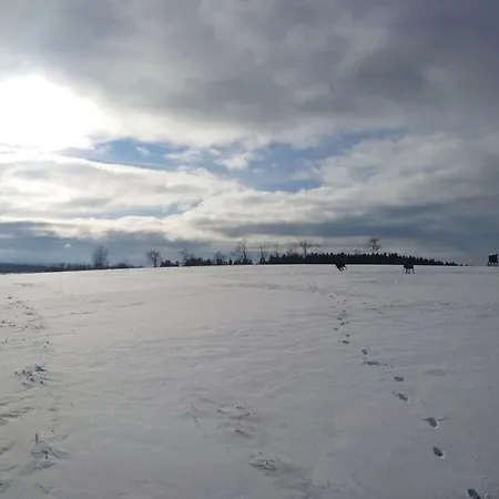 Old Forge Modern Retreat *