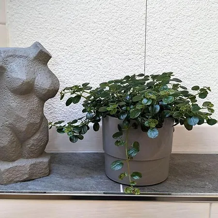 Old Forge Modern Retreat Hébergement de vacances *